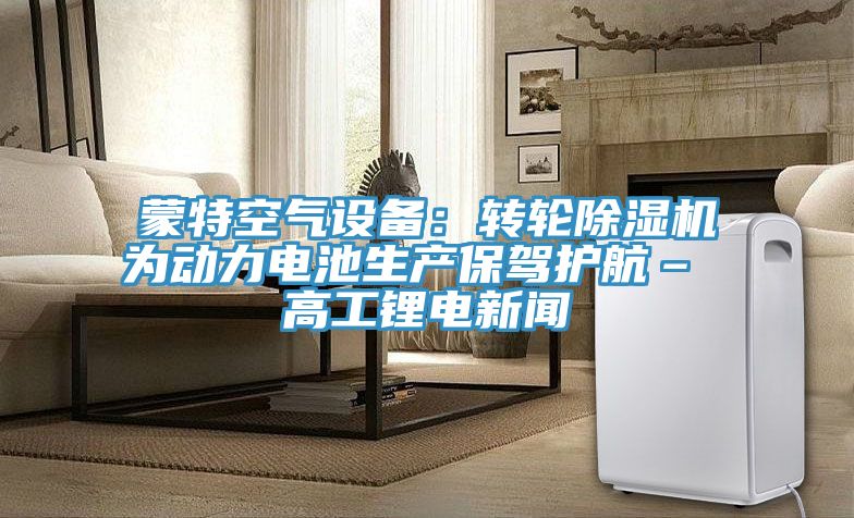 蒙特空氣設備：轉輪草莓污视频在线看為動力電池生產保駕護航– 高工鋰電新聞