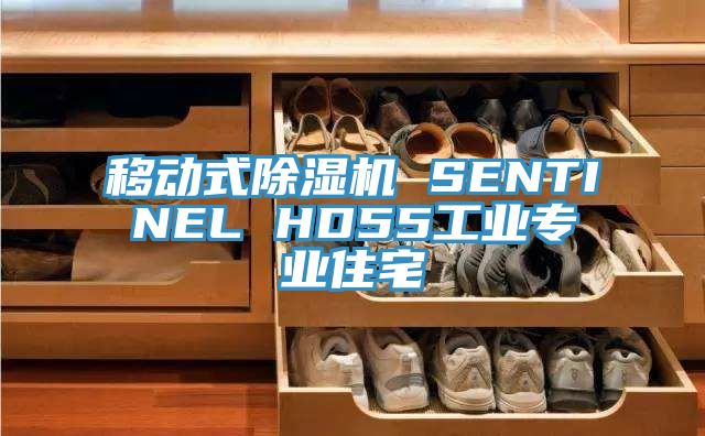 移動式草莓污视频在线看 SENTINEL HD55工業專業住宅