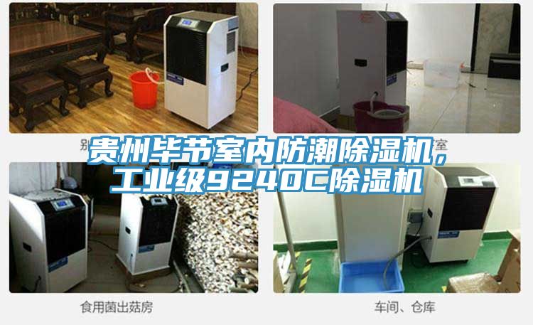 貴州畢節室內防潮草莓污视频在线看，工業級9240C草莓污视频在线看