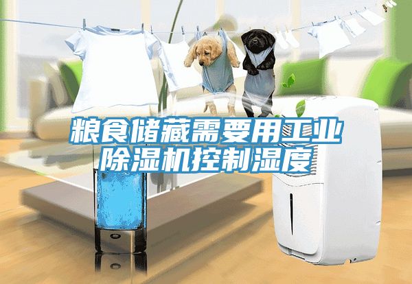 糧食儲藏需要用工業草莓污视频在线看控製濕度