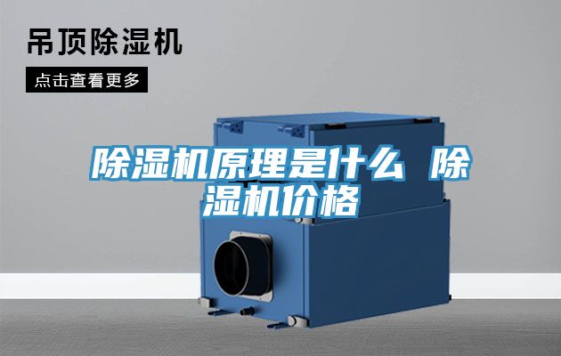 草莓污视频在线看原理是什麽 草莓污视频在线看價格