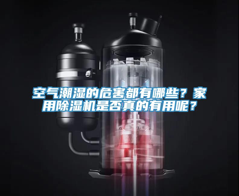 空氣潮濕的危害都有哪些？家用草莓污视频在线看是否真的有用呢？