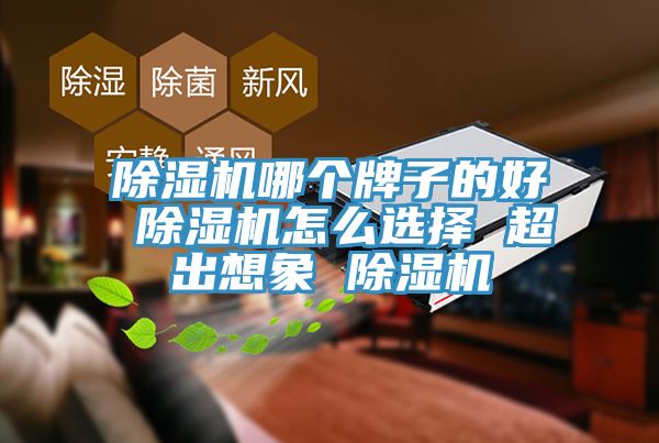 草莓污视频在线看哪個牌子的好 草莓污视频在线看怎麽選擇 超出想象 草莓污视频在线看