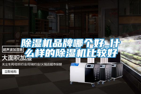 草莓污视频在线看品牌哪個好_什麽樣的草莓污视频在线看比較好