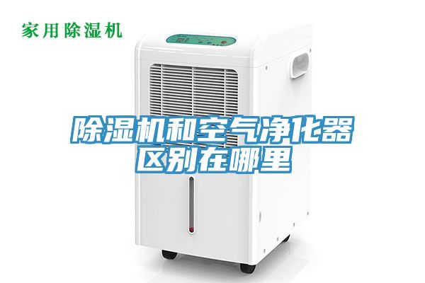 草莓污视频在线看和空氣淨化器區別在哪裏