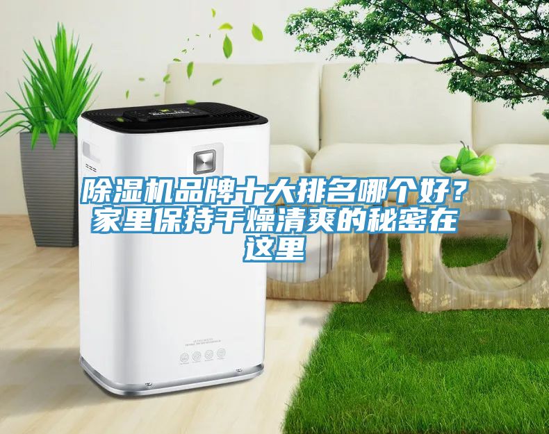 草莓污视频在线看品牌十大排名哪個好？家裏保持幹燥清爽的秘密在這裏