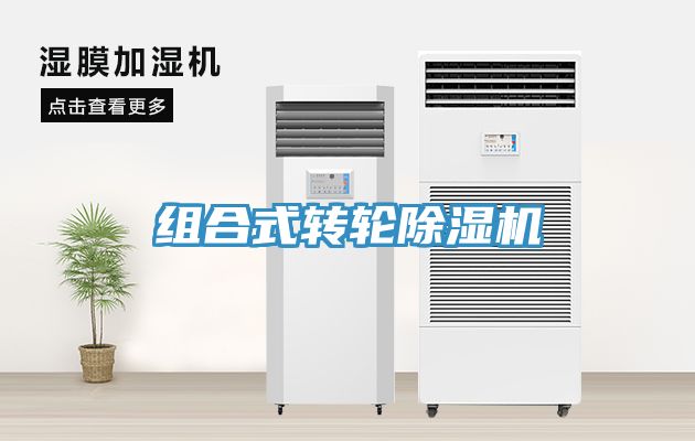 組合式轉輪草莓污视频在线看