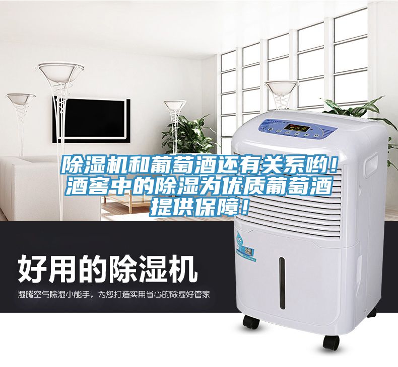 草莓污视频在线看和葡萄酒還有關係喲！酒窖中的除濕為優質葡萄酒提供保障！