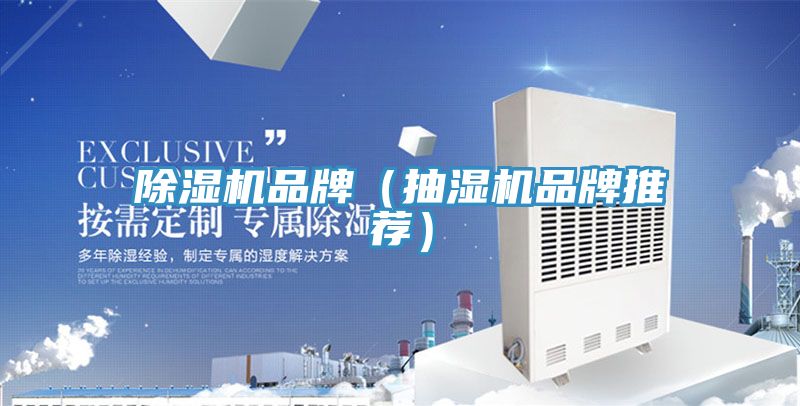 草莓污视频在线看品牌（抽濕機品牌推薦）
