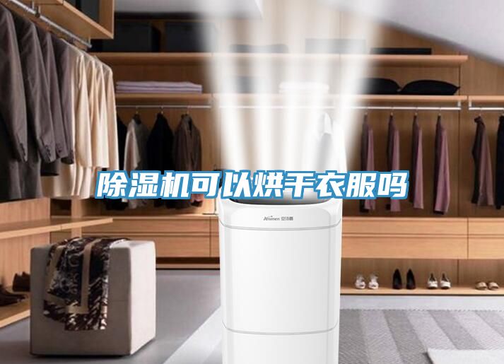 草莓污视频在线看可以烘幹衣服嗎