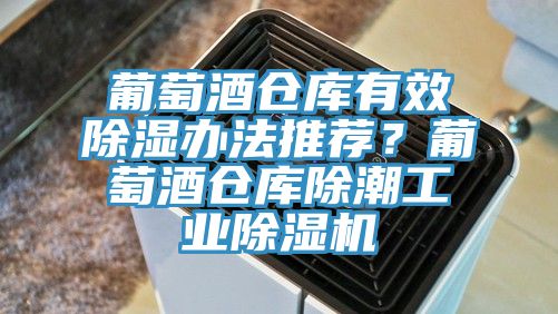 葡萄酒倉庫有效除濕辦法推薦？葡萄酒倉庫除潮工業草莓污视频在线看