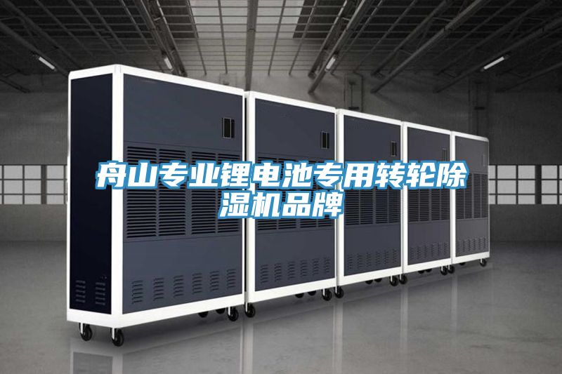 舟山專業鋰電池專用轉輪草莓污视频在线看品牌