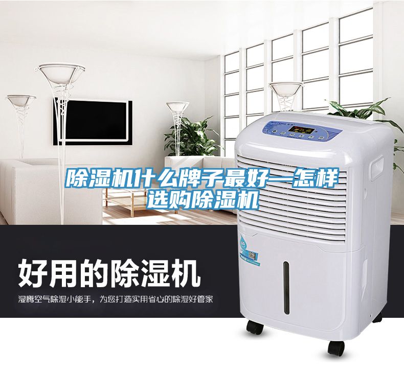草莓污视频在线看什麽牌子最好—怎樣選購草莓污视频在线看