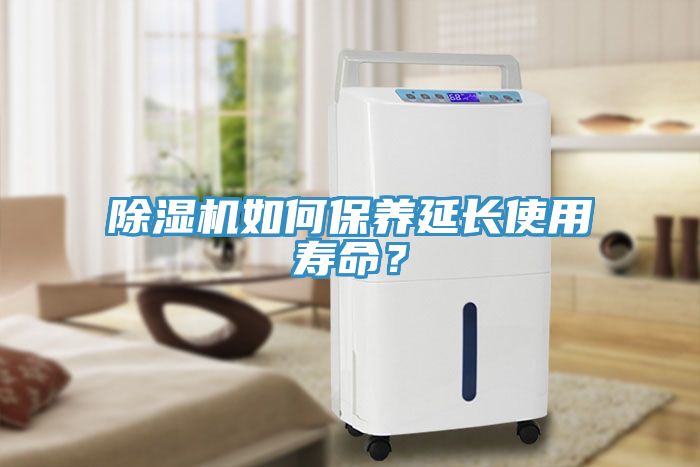 草莓污视频在线看如何保養延長使用壽命？