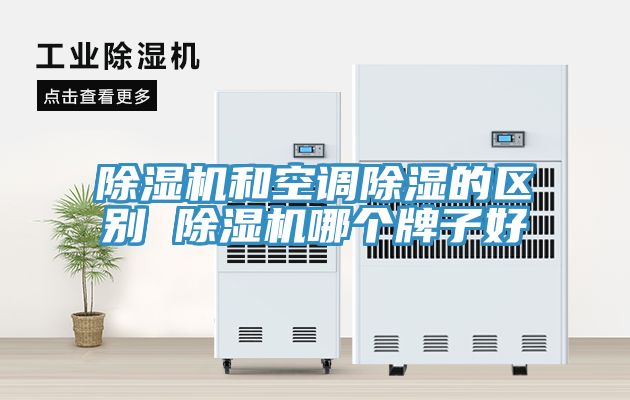 草莓污视频在线看和空調除濕的區別 草莓污视频在线看哪個牌子好