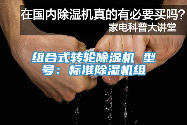 組合式轉輪草莓污视频在线看 型號：標準草莓污视频在线看組