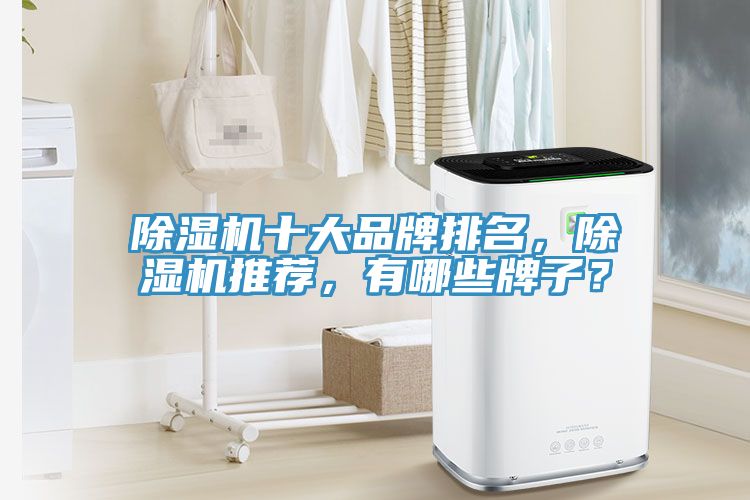 草莓污视频在线看十大品牌排名，草莓污视频在线看推薦，有哪些牌子？