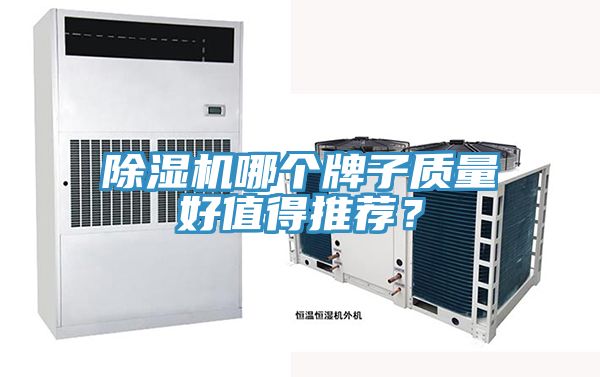 草莓污视频在线看哪個牌子質量好值得推薦？