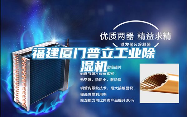 福建廈門普立工業草莓污视频在线看