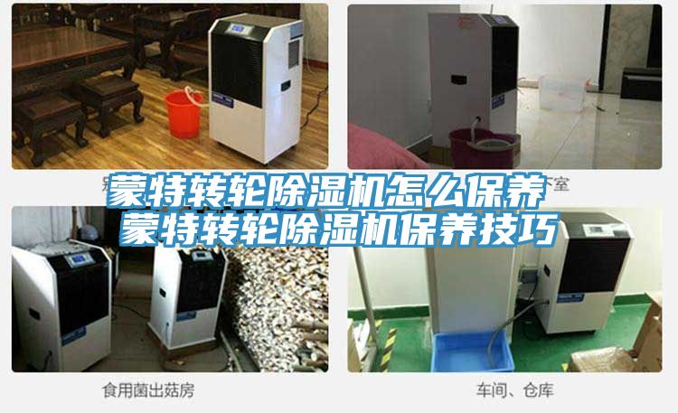 蒙特轉輪草莓污视频在线看怎麽保養 蒙特轉輪草莓污视频在线看保養技巧