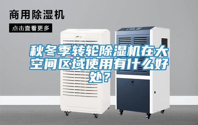 秋冬季轉輪草莓污视频在线看在大空間區域使用有什麽好處？