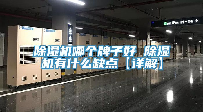 草莓污视频在线看哪個牌子好 草莓污视频在线看有什麽缺點【詳解】