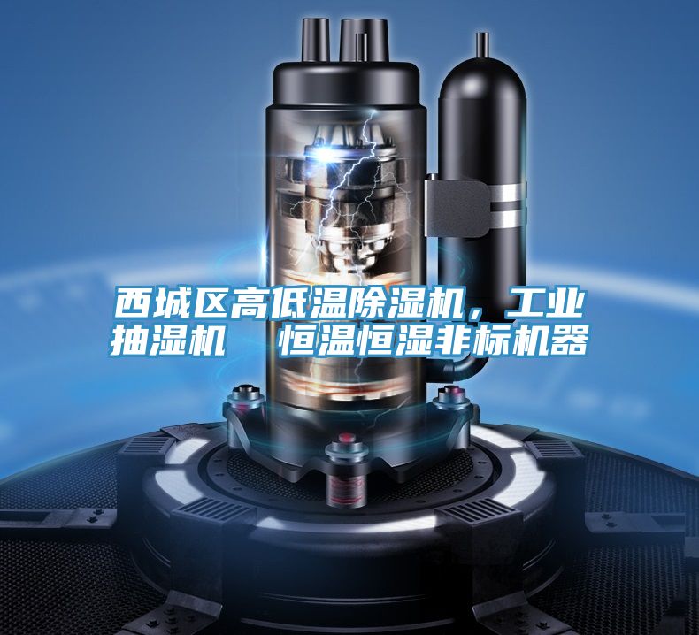 西城區高低溫草莓污视频在线看，工業抽濕機  恒溫恒濕非標機器