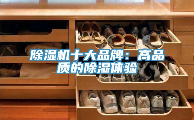 草莓污视频在线看十大品牌：高品質的除濕體驗