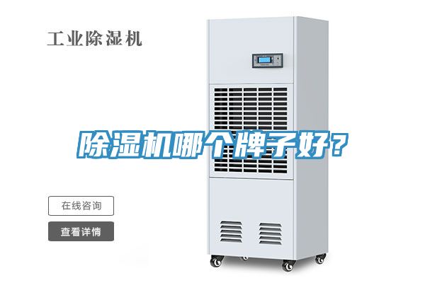 草莓污视频在线看哪個牌子好？