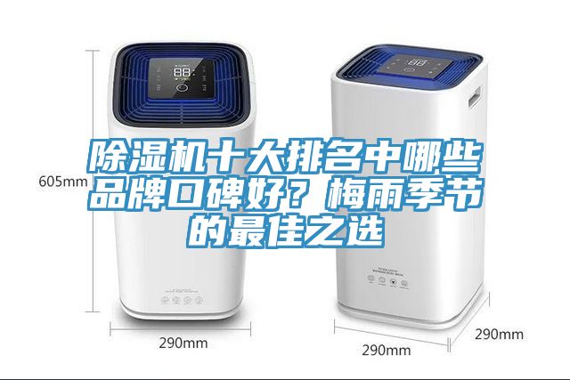 草莓污视频在线看十大排名中哪些品牌口碑好？梅雨季節的最佳之選
