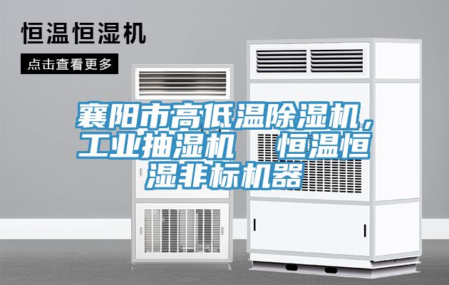 襄陽市高低溫草莓污视频在线看，工業抽濕機  恒溫恒濕非標機器