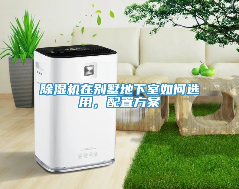 草莓污视频在线看在別墅地下室如何選用，配置方案