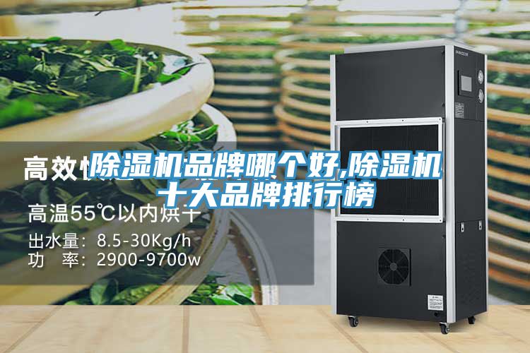 草莓污视频在线看品牌哪個好,草莓污视频在线看十大品牌排行榜