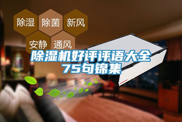 草莓污视频在线看好評評語大全75句錦集