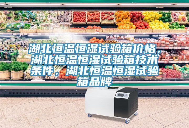 湖北恒溫恒濕試驗箱價格，湖北恒溫恒濕試驗箱技術條件，湖北恒溫恒濕試驗箱品牌