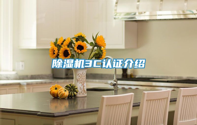 草莓污视频在线看3C認證介紹