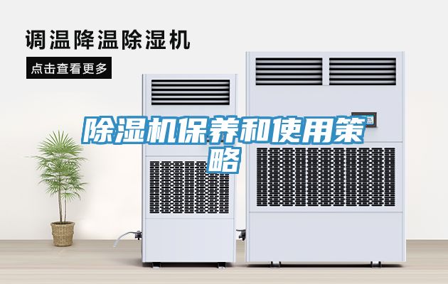 草莓污视频在线看保養和使用策略