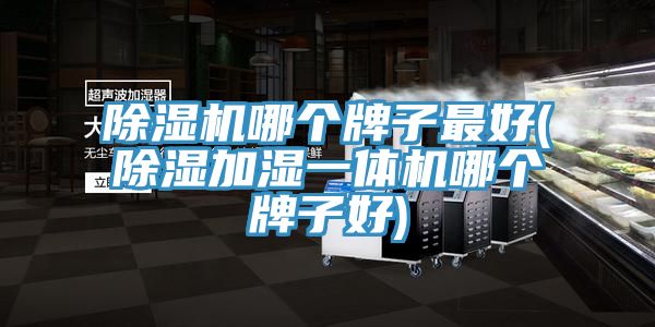 草莓污视频在线看哪個牌子最好(除濕加濕一體機哪個牌子好)