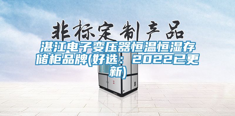 湛江電子變壓器恒溫恒濕存儲櫃品牌(好選：2022已更新)