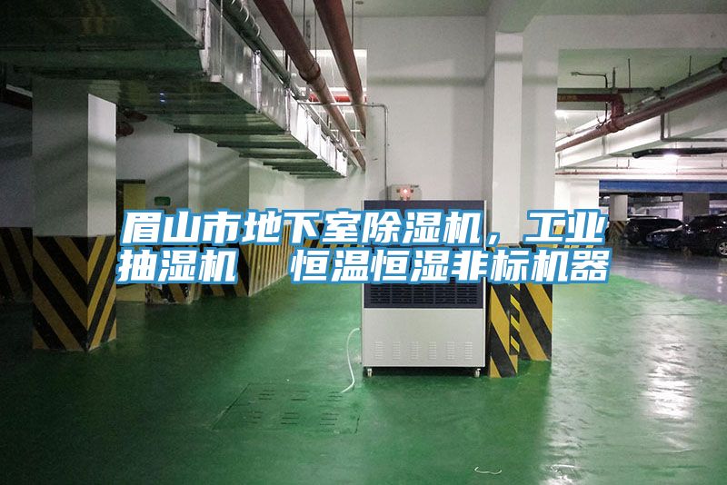 眉山市地下室草莓污视频在线看，工業抽濕機  恒溫恒濕非標機器