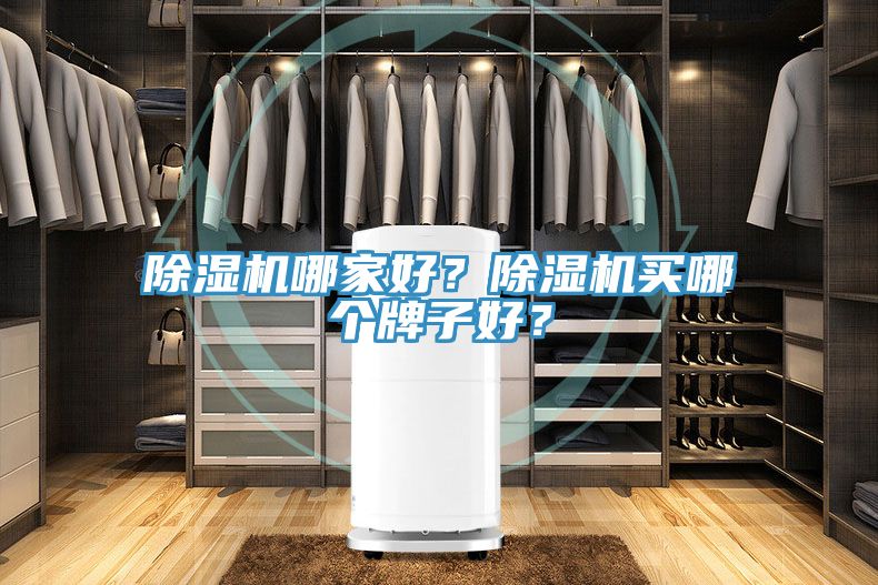 草莓污视频在线看哪家好？草莓污视频在线看買哪個牌子好？