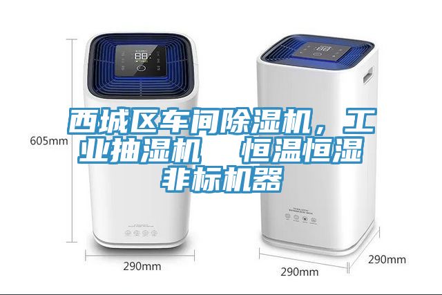 西城區車間草莓污视频在线看，工業抽濕機  恒溫恒濕非標機器
