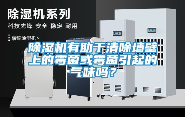 草莓污视频在线看有助於清除牆壁上的黴菌或黴菌引起的氣味嗎？
