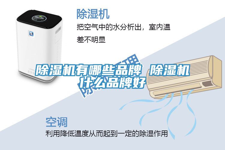 草莓污视频在线看有哪些品牌 草莓污视频在线看什麽品牌好