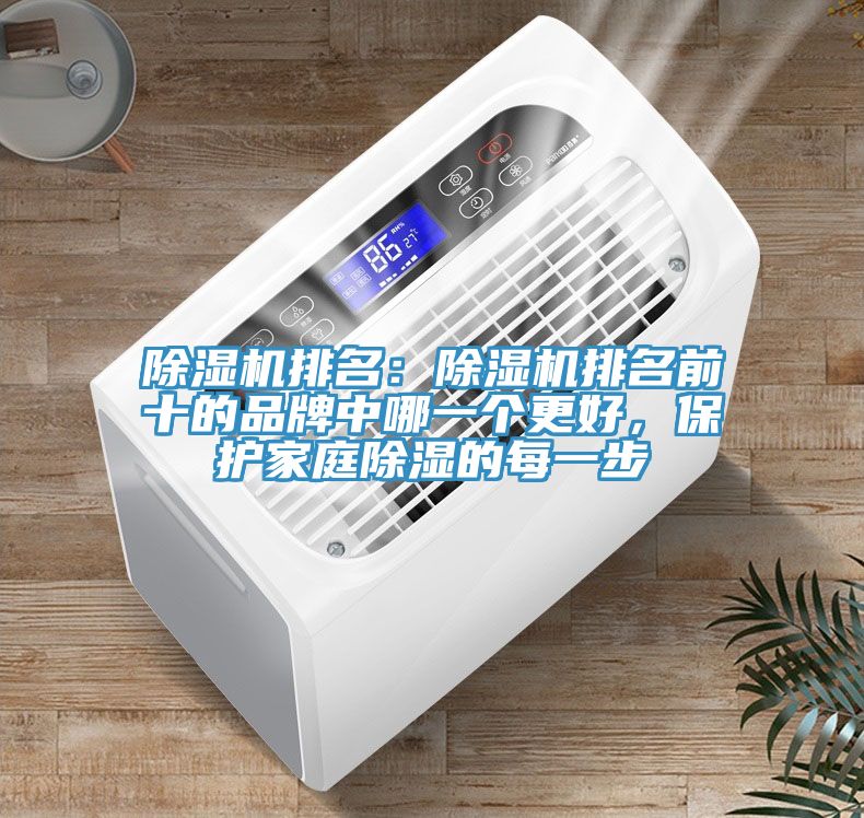 草莓污视频在线看排名：草莓污视频在线看排名前十的品牌中哪一個更好，保護家庭除濕的每一步
