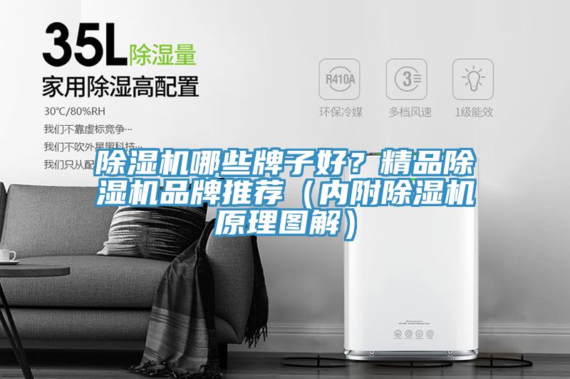 草莓污视频在线看哪些牌子好？精品草莓污视频在线看品牌推薦（內附草莓污视频在线看原理圖解）