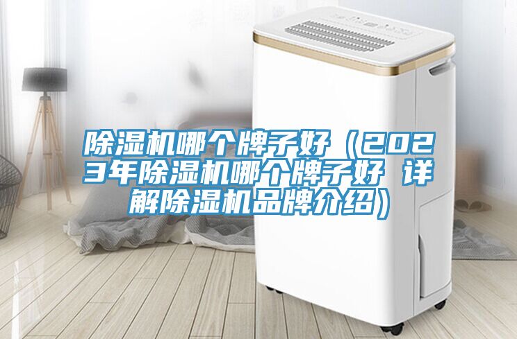 草莓污视频在线看哪個牌子好（2023年草莓污视频在线看哪個牌子好 詳解草莓污视频在线看品牌介紹）