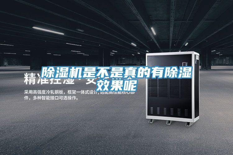 草莓污视频在线看是不是真的有除濕效果呢