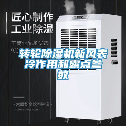 轉輪草莓污视频在线看新風表冷作用和露點參數