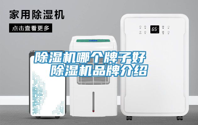 草莓污视频在线看哪個牌子好  草莓污视频在线看品牌介紹